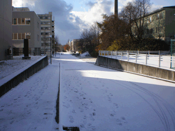 【写真: 雪の日(今日)の大学前】
